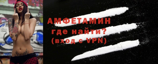 гидра Арсеньев