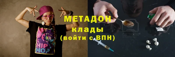 гидра Арсеньев