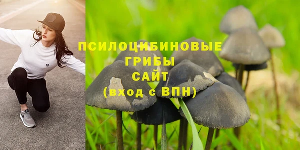 гидра Арсеньев